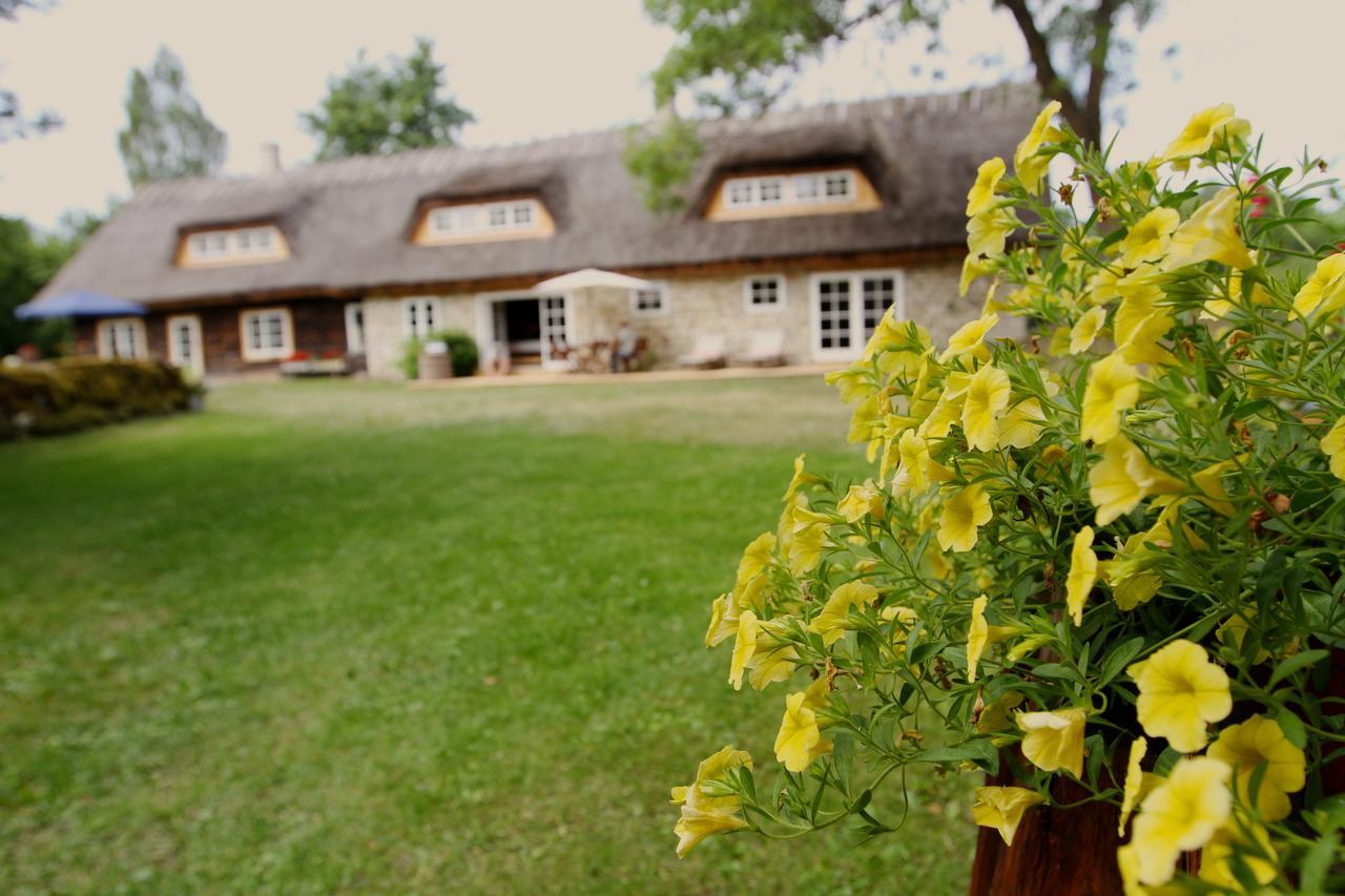 Tornimae Metsara B & B المظهر الخارجي الصورة